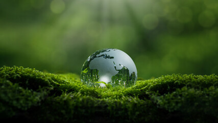 Crystal ball on moss in green forest - environmental concept, ecology and sustainable environment...