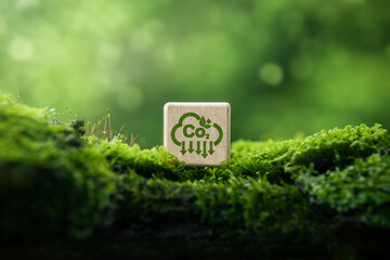 Carbon reduction, carbon neutrality concept, sustainable development of carbon credits and green...