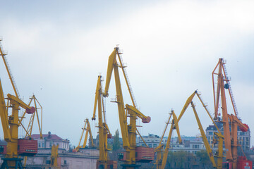 Obraz premium Cargo Cranes in Urban Port Landscape