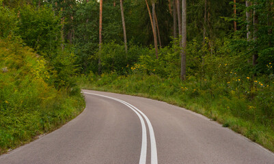 Asfaltowa droga w lesie © PawelCichowski