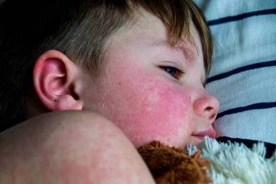 adventure climbing high wire park - people on course in mountain helmet and safety equipment. High quality photo. High quality photo