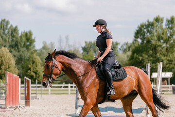 Young woman jockey riding her horse outside in summer