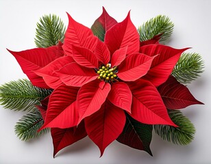 Freigestellter Weihnachtsstern &ndash; Perfekt f&uuml;r Weihnachtsdekorationen und Festtagswerbung