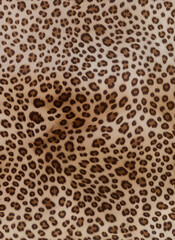 leopard pattern seamless fashionable design for print clothes, paper, fabric. leopard spots