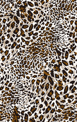 Leopard texture, animal print, african animal fur
