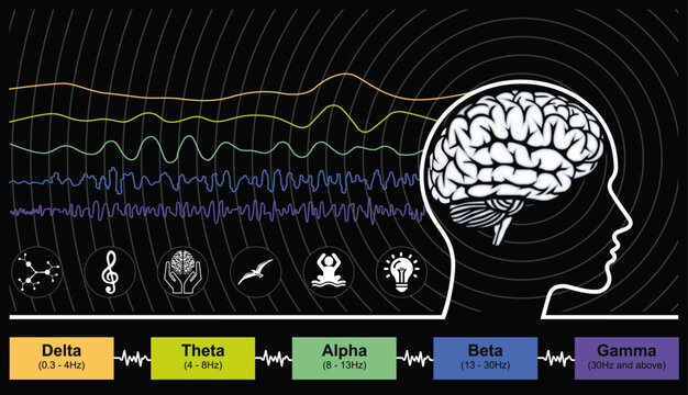 Digital Illustration of Human Brain Waveforms and Brain Activity Patterns.