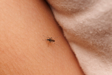 Photo realistic image: An image showing a tiger mosquito biting a person's skin 