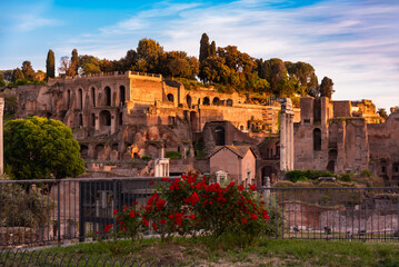 Fototapeta premium Rome city, Italy in evening sun