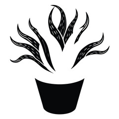 an-unusual-long-plant-in-flower-pot--white-backgro (1).eps