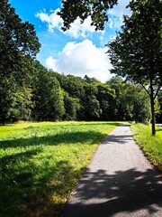 path in the park