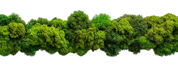 Deep green moss patches arranged artistically, highlighting texture and detail, nature's vibrancy in contrast