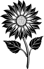 illustration flower vector. sunflower vector .daisy vector . flower outline vector