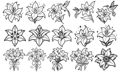 Lily Coloring Page for Adults, Detailed Line Art Design, Perfect for Relaxation and Stress Relief, Ideal for Adult Coloring Books or Printable Art Therapy Activities, High-Quality Illustration.