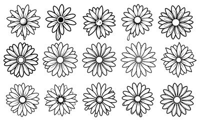 Daisy Coloring Page for Adults, Detailed Line Art Design, Perfect for Relaxation and Stress Relief, Ideal for Adult Coloring Books or Printable Art Therapy Activities, High-Quality Illustration.