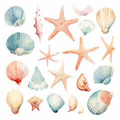 Diverse collection of seashells and starfish in a watercolor style