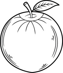 Coconut fruit vector illustration on black and white.