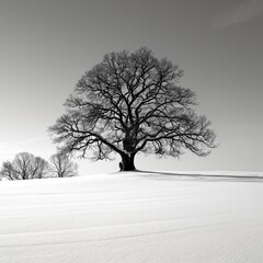 A single, bare tree stands in a snow-covered field against a cloudy sky.