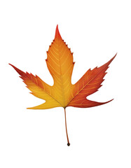 Vibrant Autumn Leaf with Blended Red, Orange, and Yellow Hues on Transparent Background