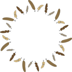 Round frame with with brown and beige feathers on white background.eps