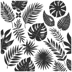 Collection of natural silhouette leaves