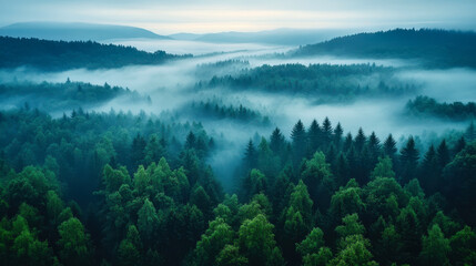 Misty Forest Aerial View on a Foggy Morning, Serene Woodland Landscape with Dense Trees, Enveloping Mist, and Mountains in the Distance, Tranquil Nature Scene Ideal for Calm and Zen Concepts