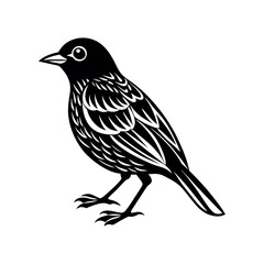 bird silhouette vector