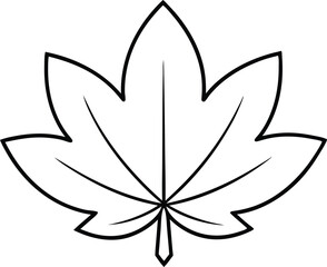 Chrysanthemum Leaf Beautiful Thin Line Vector Drawing for Graphic Design
