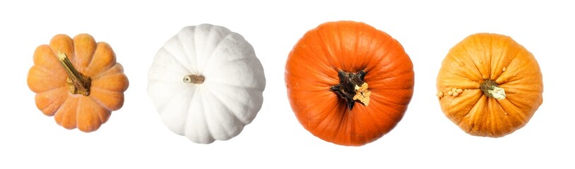 Variety of autumn pumpkins, above view isolated on a white background. Assorted shades of orange and white.