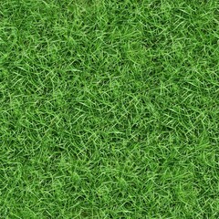 Seamless texture of the grass surface