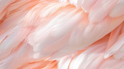Fototapeta premium Delicate Flamingo Feathers Pattern in Soft Pinks and Whites for a Tranquil Ambiance