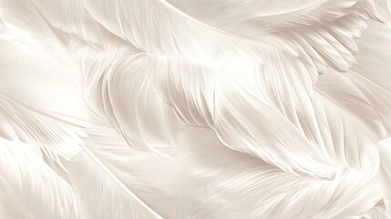 Graceful Swan Feathers: Elegant Minimal Pattern in Soft Whites and Subtle Textures