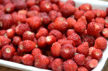 Wild strawberries background. Closeup of heap of ripe wild strawberries