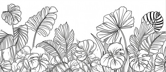 Black and white illustration of tropical leaves.