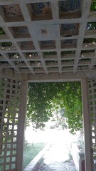 Fototapeta premium view from the window