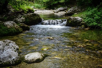 Fototapeta premium Tranquil flowing stream in the forest, with green foliage and large rocks