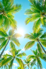 Tall palm trees sway under a bright blue sky during sunny weather