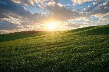 Stunning Sunset Over Lush Green Rolling Hills with Blue Sky and Fluffy Clouds