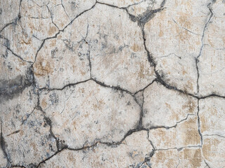 stone wall texture