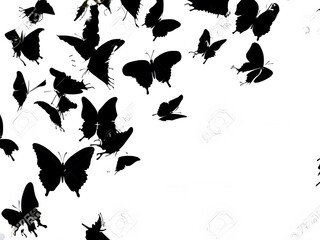 black and white butterfly
background with butterflies
set of butterflies silhouettes
butterflies on a white background