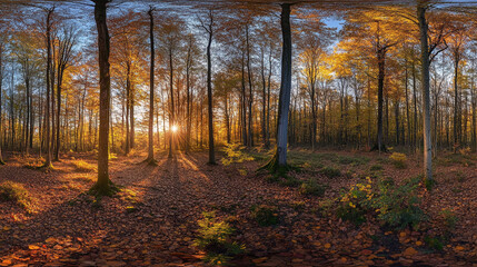 Obraz premium A Majestic Forest of Towering Pine Trees, Mystical Morning in the Forest Sunlight Filtering Through Mist and Trees.