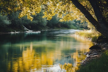 Golden light reflecting on the surface of a tranquil river in a forest
