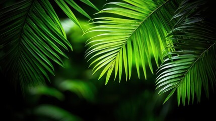 Obraz premium Tropical jungle canopy with vibrant wildlife, lush green trees and leaves, calm and serene nature scene