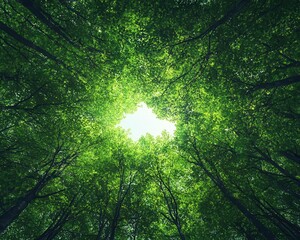 Obraz premium Lush green trees and canopy with scattered wildlife below, sunlight breaking through, serene nature atmosphere
