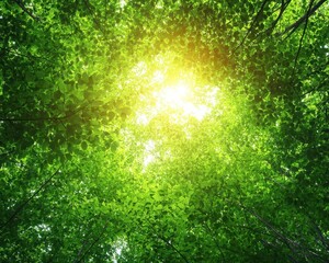 Lush green trees and canopy with scattered wildlife below, sunlight breaking through, serene nature atmosphere