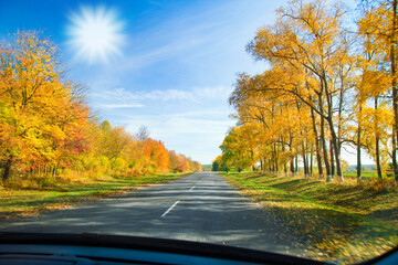 Fototapeta premium A Beautiful autumn road on nature park background
