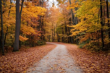 Naklejka premium Autumn Forest Path with Colorful Trees and Fallen Leaves