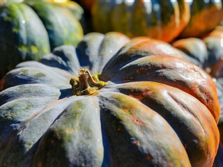 Autumn Pumpkins: Harvest, Colors, and Cozy Vibes