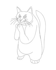 Funny cat stands and holds paws begging for something. Vector illustration in the form of a single line isolated on a white background