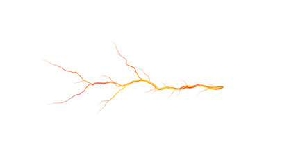 Colorful, artistic depiction of a branch with vibrant yellow lightning patterns, isolated on a white background.
