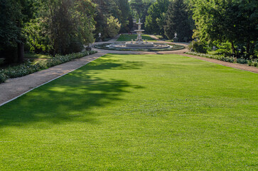 Beautiful green grass, natural background